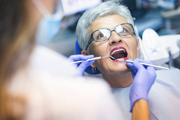 Belleville, MI  Holistic Dental Services Company